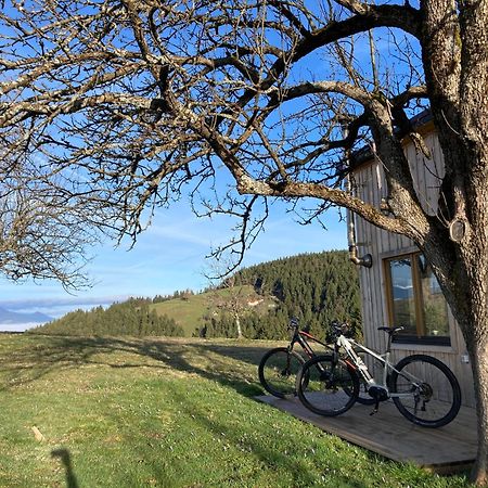 Tiny House Villa Mislinja Екстериор снимка