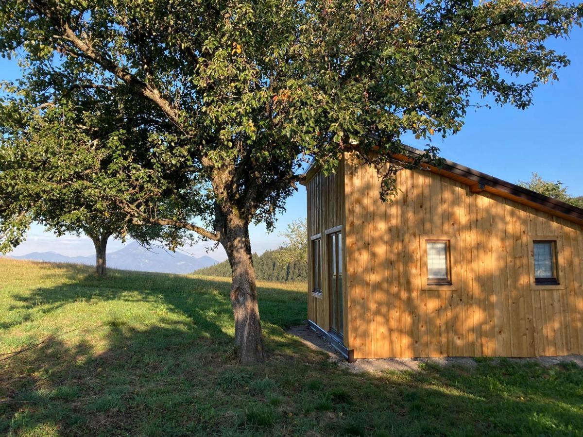 Tiny House Villa Mislinja Екстериор снимка