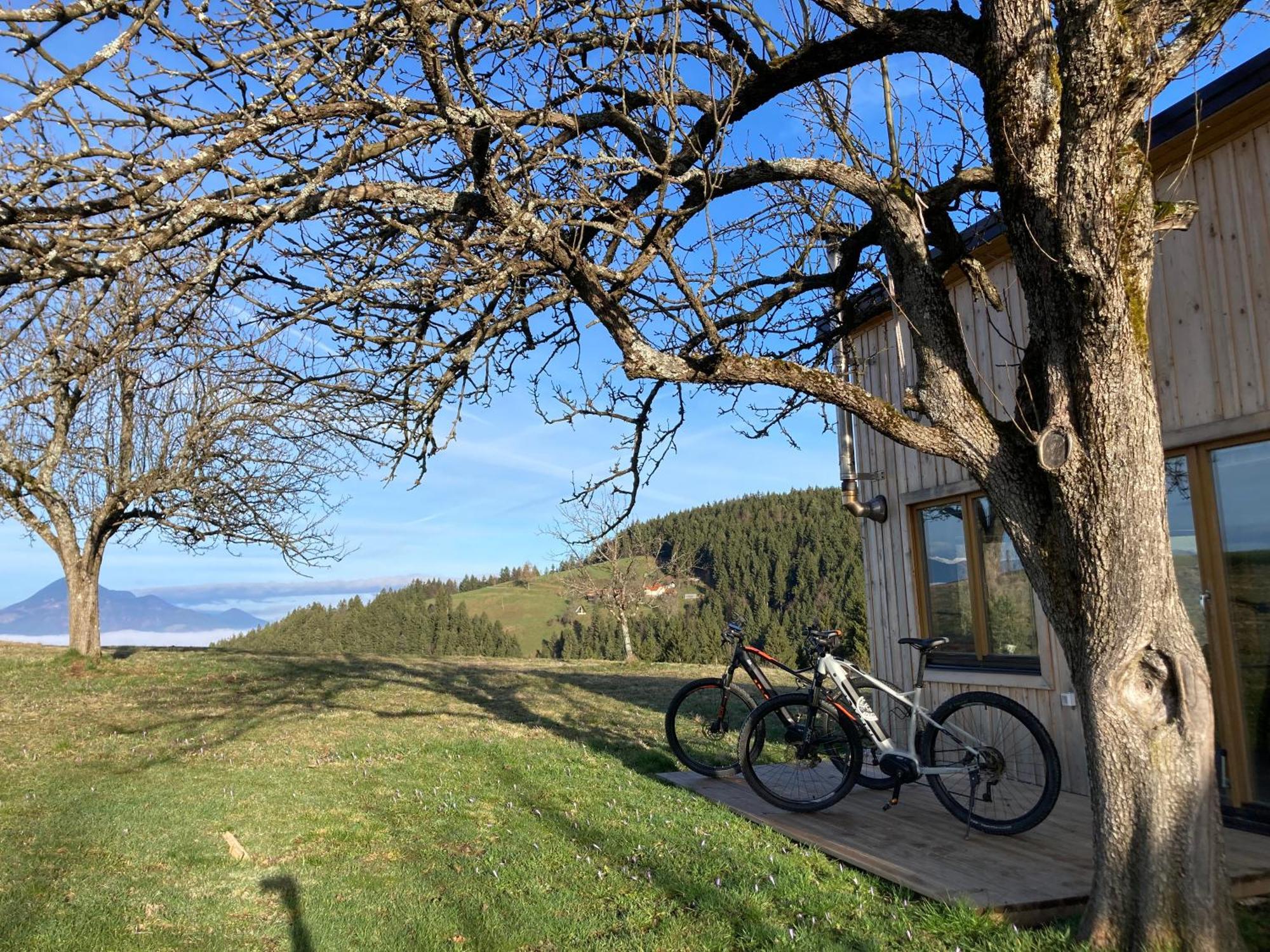 Tiny House Villa Mislinja Екстериор снимка